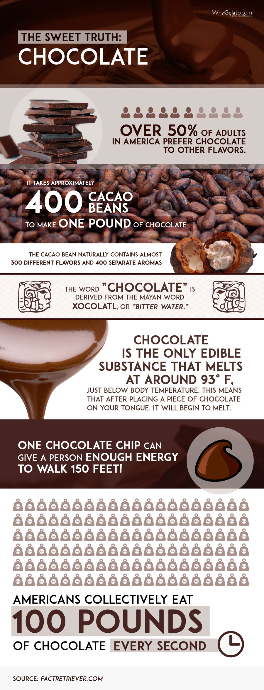 Chocolate Infographic