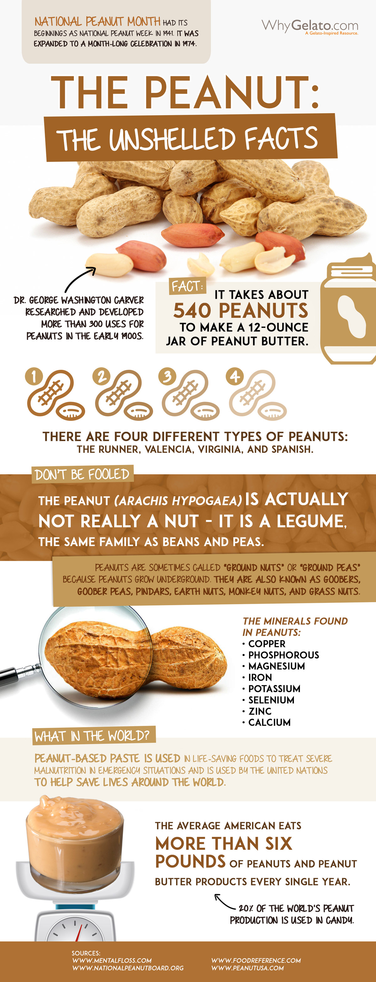 Peanut Infographic Large