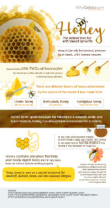 honey-infographic | WhyGelato